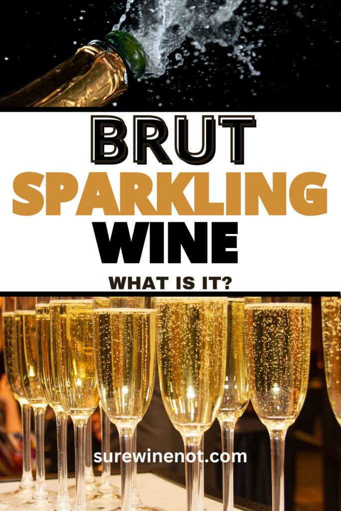 brut-sparkling-wine-champagne-nature