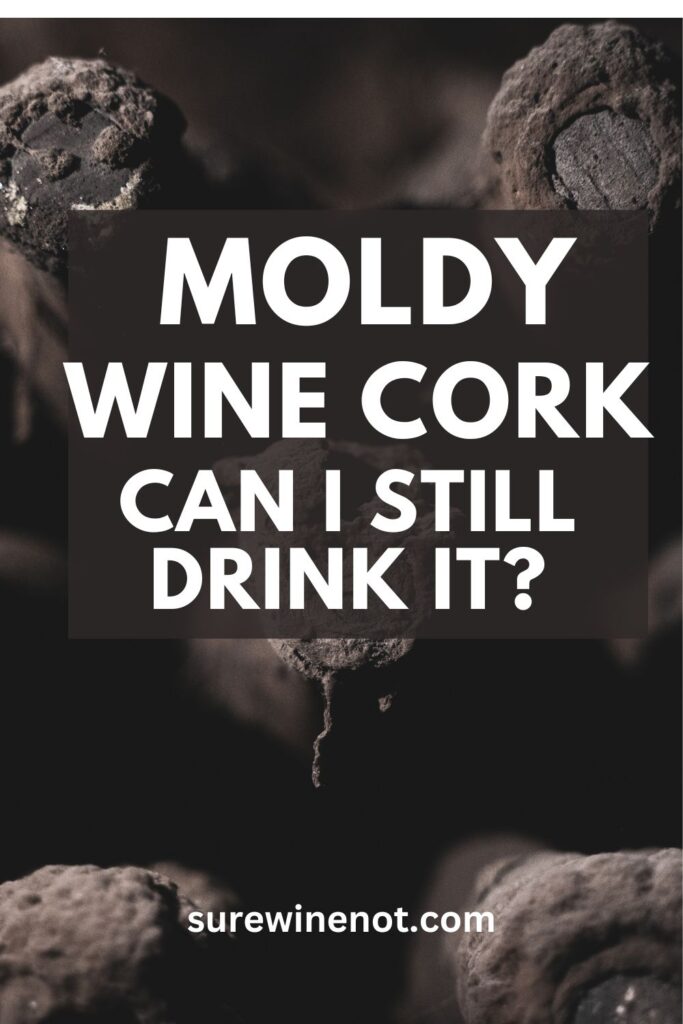 moldy-wine-cork-mouldy-safe-sick