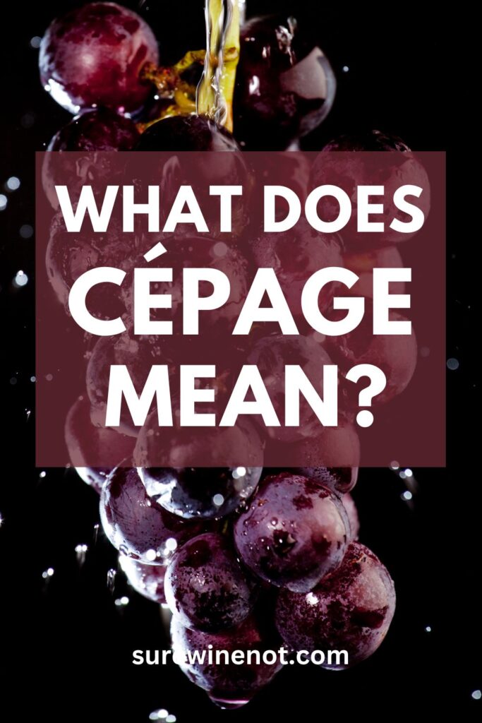 cepage-wine-term-meaning