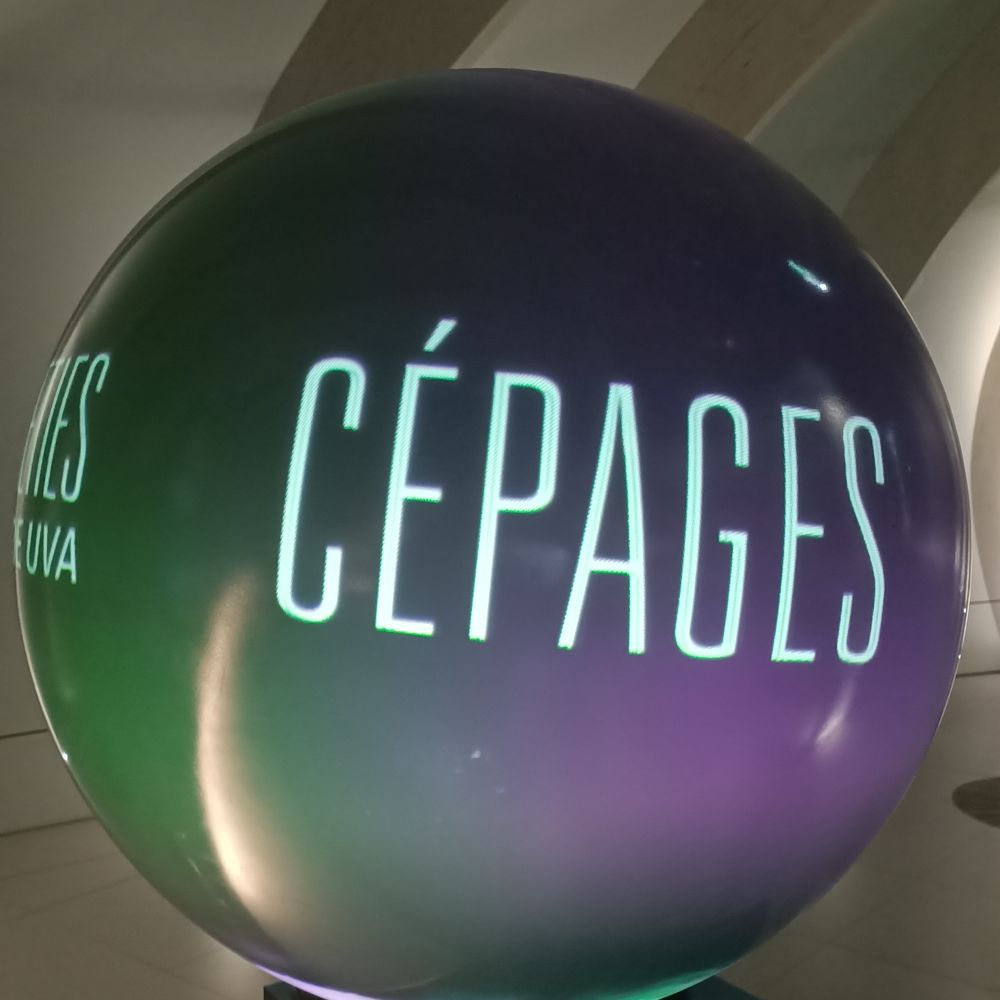 Cépage Meaning| Wine| Champagne term