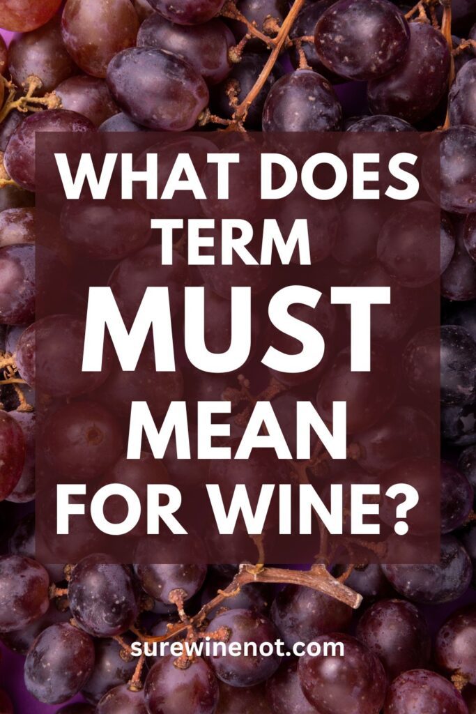 must-wine-term-meaning