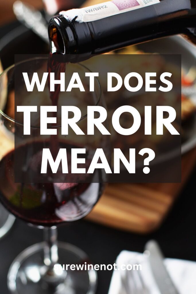 terroir-wine-term-meaning-definition