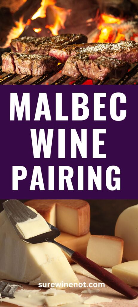 malbec-wine-food-pairings-best